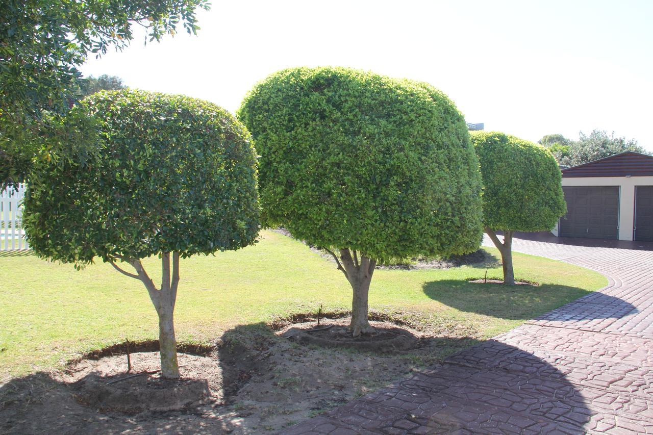 נורדהוק Horizon Cottages מראה חיצוני תמונה